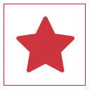 Icon 5
